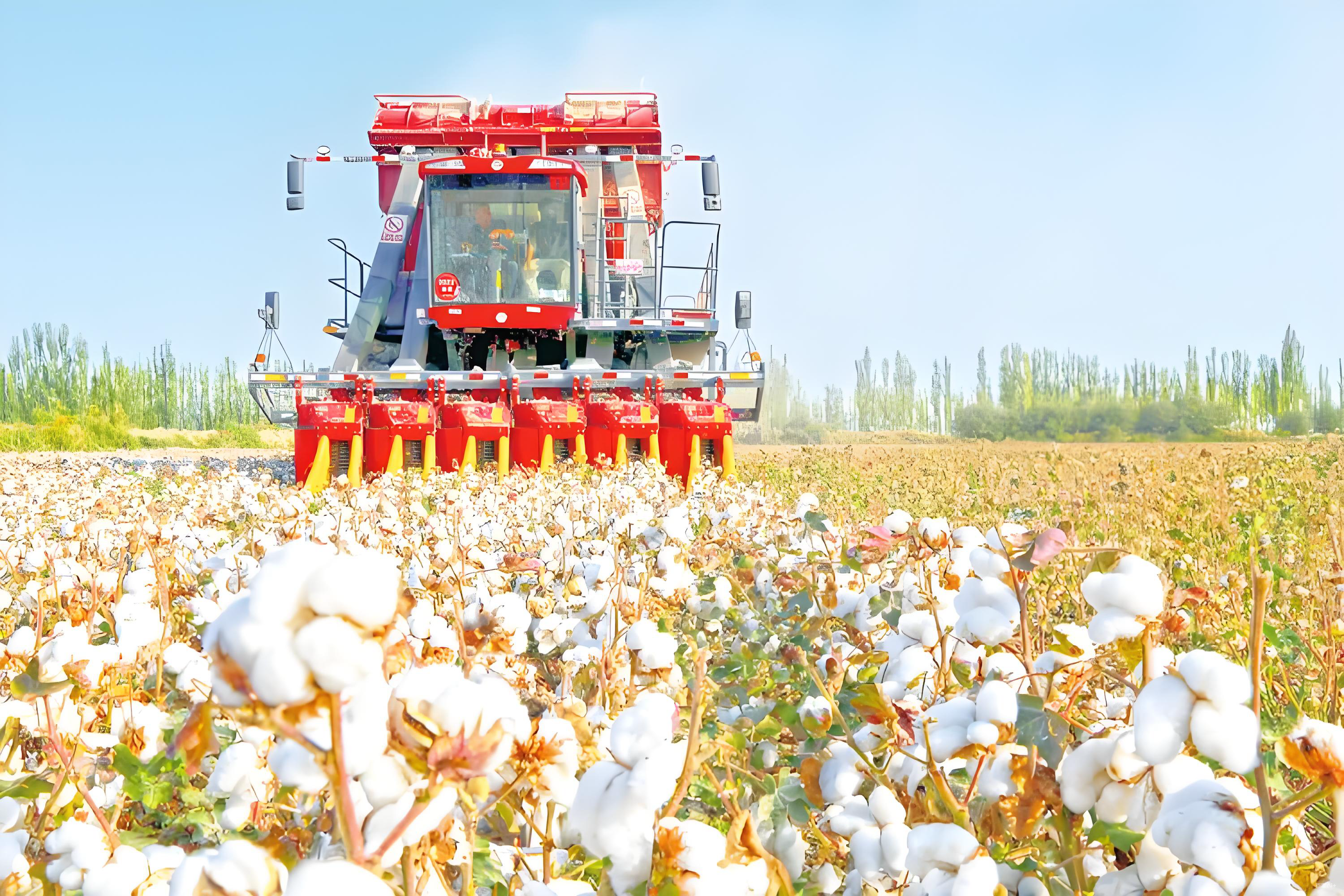 棉花朵朵開 機(jī)收好豐景 “棉花院士”點(diǎn)贊